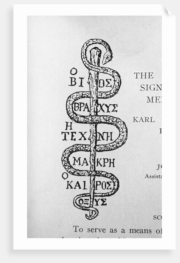 Serpent of Aesculapius by Anonymous