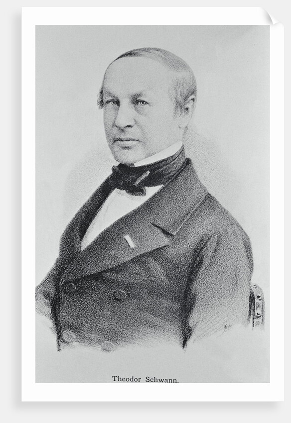 Portrait of Theodor Schwann by Anonymous