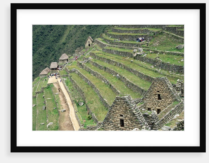 Terraced Fields at Machu Picchu by Anonymous