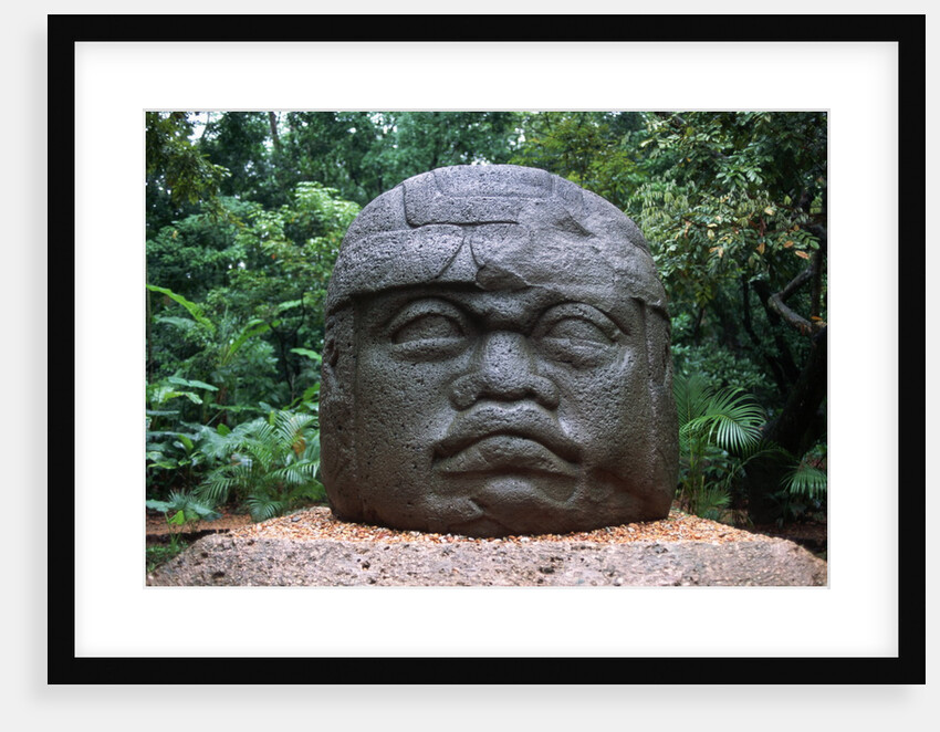 Giant Olmec Head at La Venta Park by Anonymous