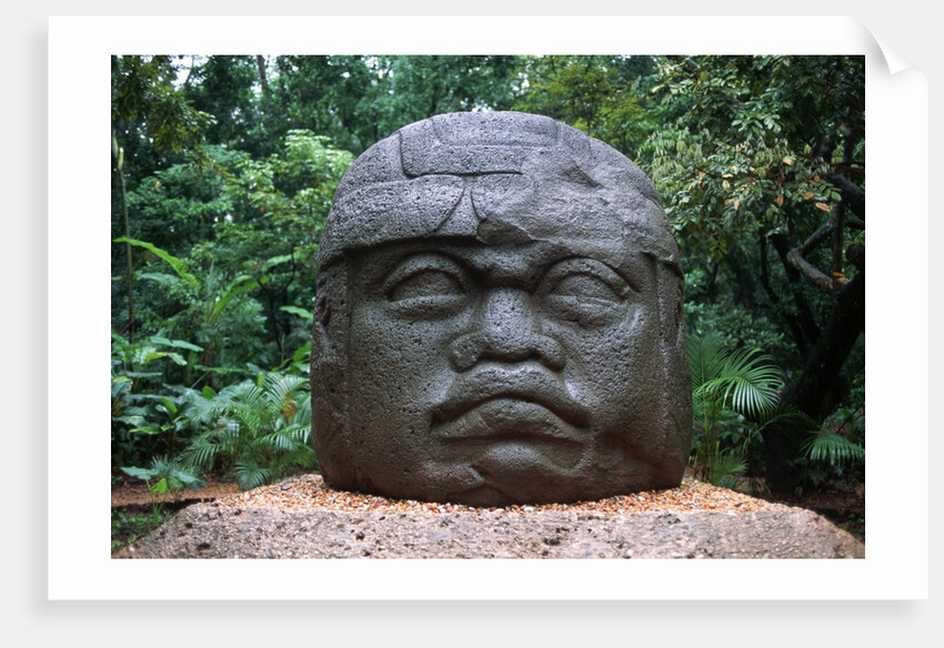 Giant Olmec Head at La Venta Park by Anonymous