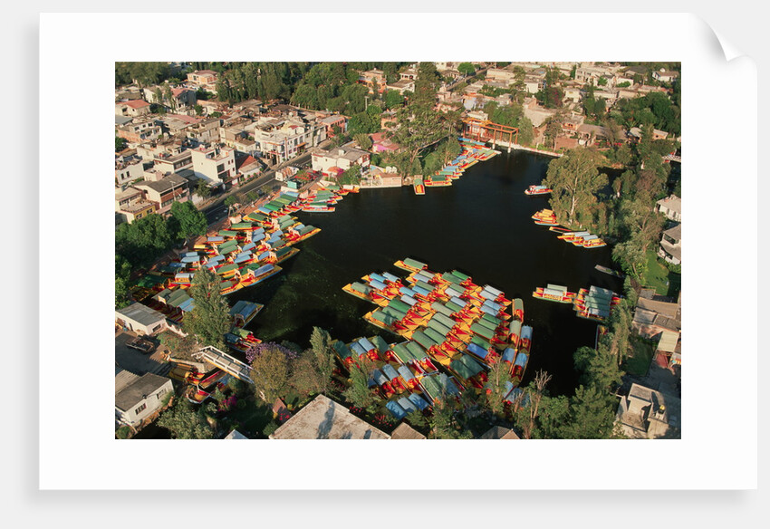 Aerial of Xochimilco Floating Gardens by Anonymous