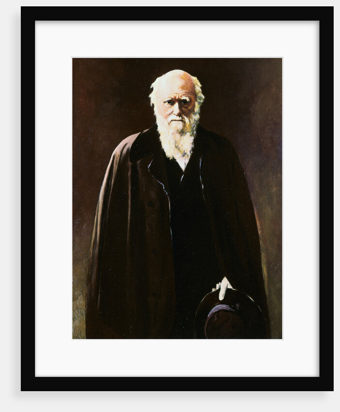 Portrait of Charles Darwin by Anonymous