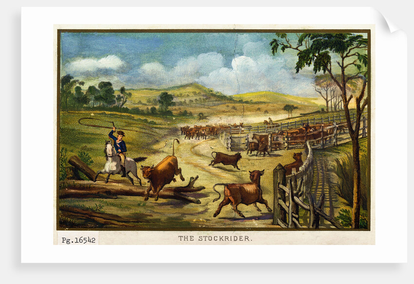 Painting of a Cattle Herder by Anonymous
