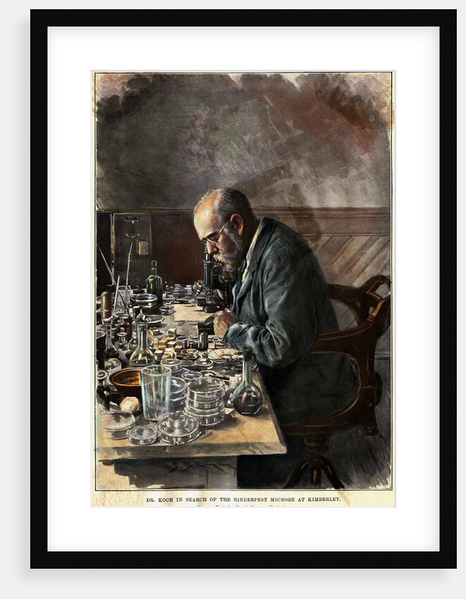 Illustration of Scientist Robert Koch Working in Laboratory by Anonymous