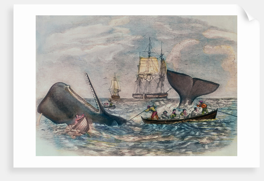 South Sea Whaling by Anonymous