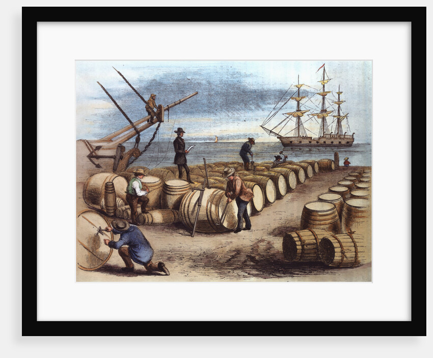 Color Print of Wharf Workers Measuring Whale Oil Content in Barrels by Anonymous