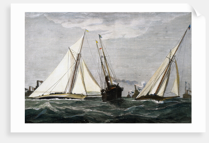 The America's Cup Race Magazine Illustration by Julian Oliver Davidson
