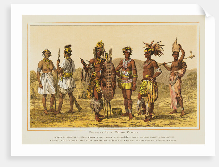 Ethiopian Race Illustration by Anonymous