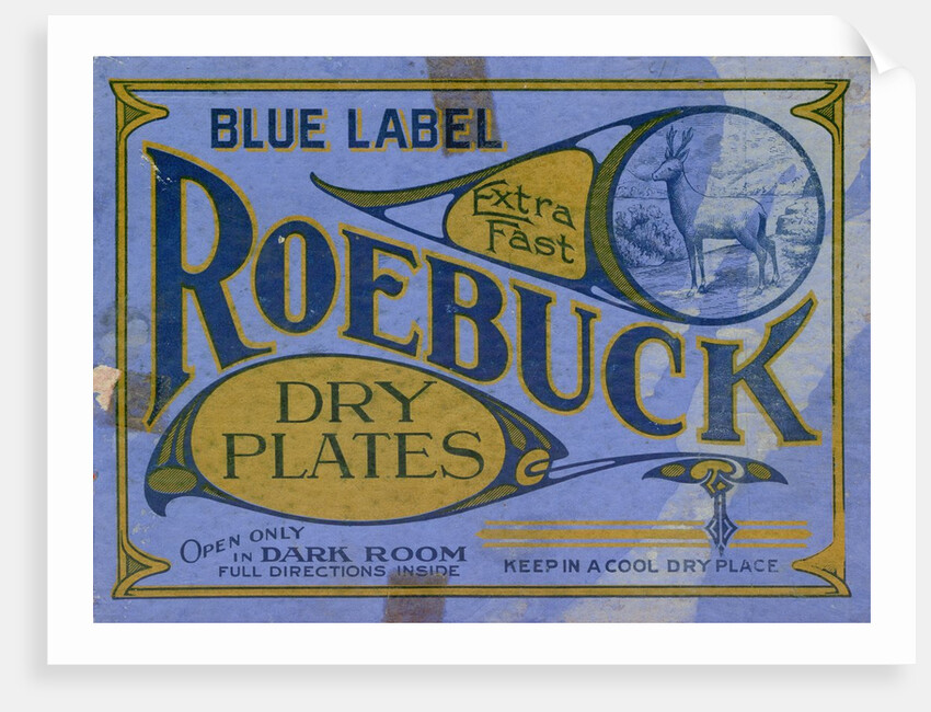 Advertisement for Roebuck Photographic Dry Plates by Anonymous