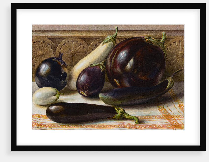 Still life of Eggplant by Anonymous