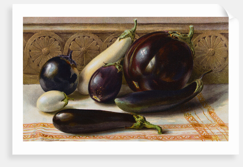 Still life of Eggplant by Anonymous