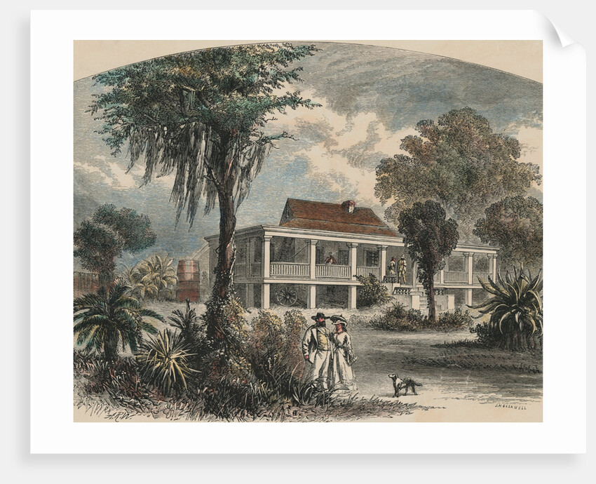 Couple Strolling with Dog by Anonymous
