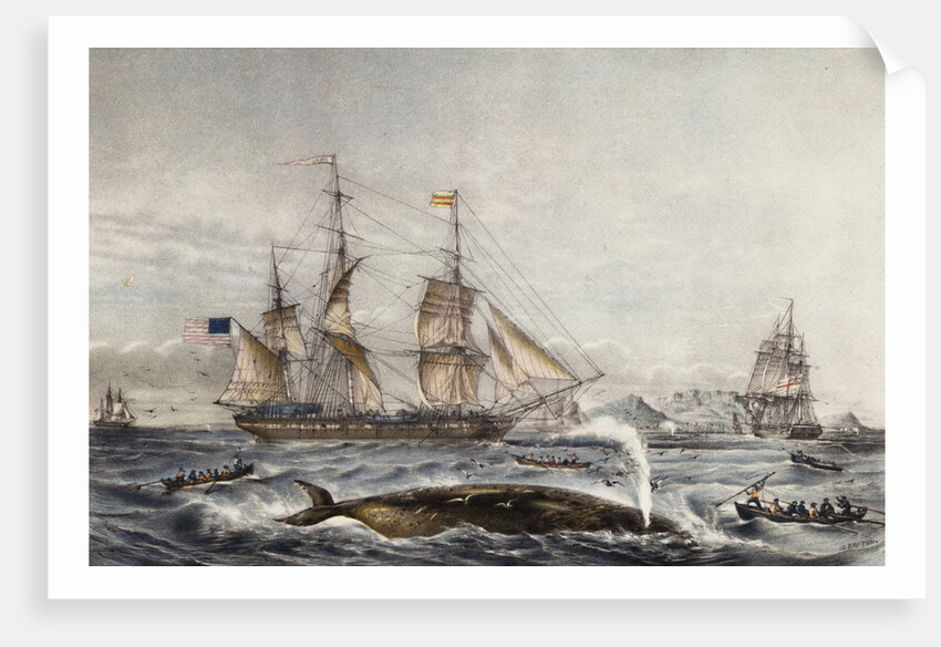 Cape of Good Hope by Anonymous