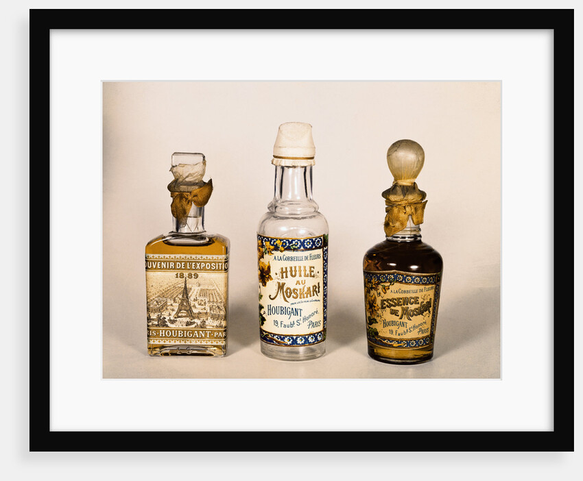 Three Perfume Bottles, Essence of Moskari - Houbigant by Anonymous