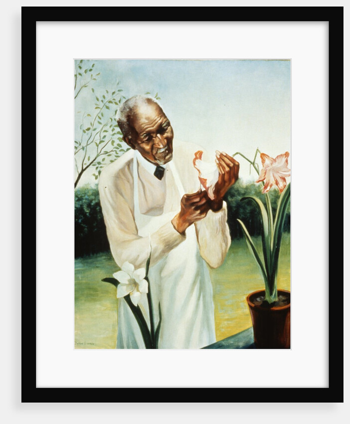 George Washington Carver by Anonymous
