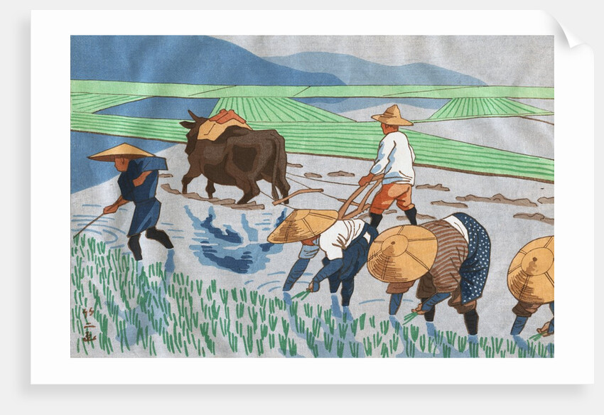 Asians Working in Rice Paddy Field by Anonymous