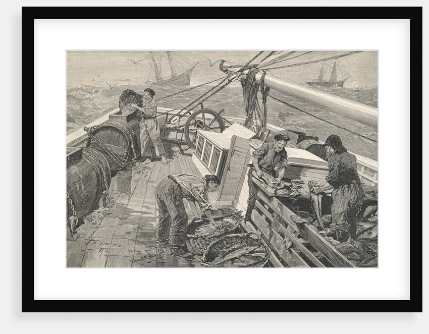 Fisherman Preparing Fish by Anonymous