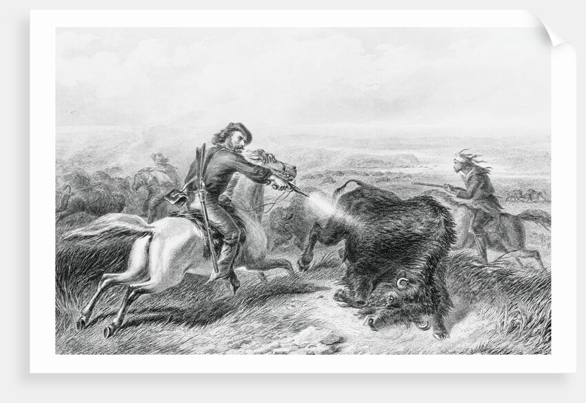 Illustration of Hunter Shooting Buffalo by Anonymous