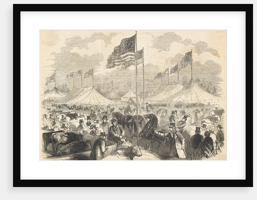 People Attending State Fair by Anonymous