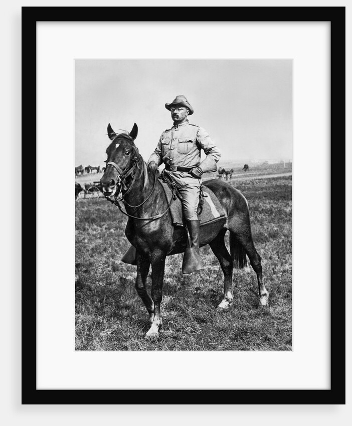 Theodore Roosevelt Riding Horse by Anonymous