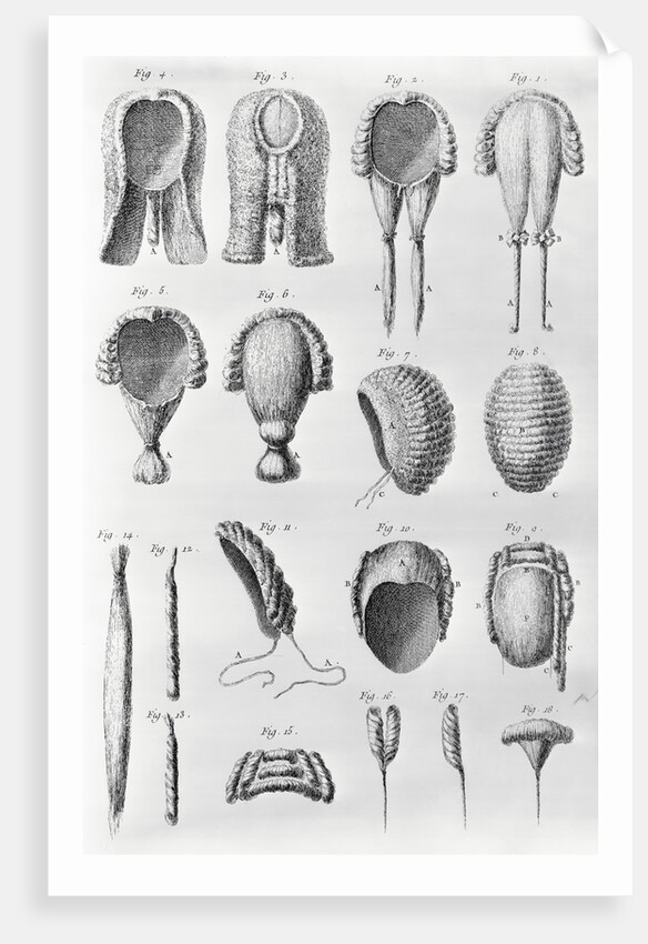 Book Illustration Showing Different Wigs by Anonymous