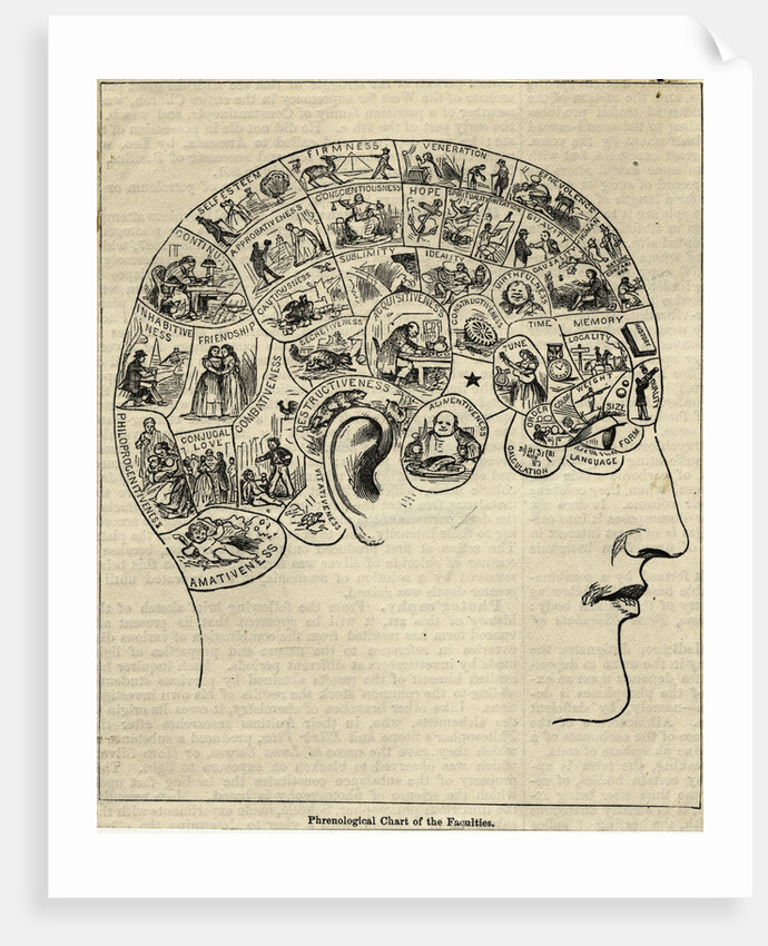 Phrenological Chart Showing Mental Functions by Anonymous