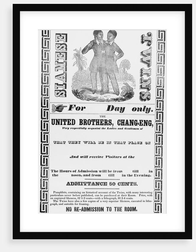 Portrait of Siamese Twins by Anonymous