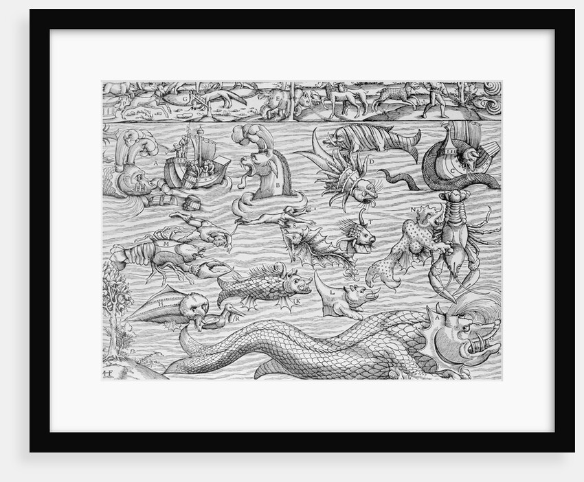 Illustration of Mythical Sea Monsters by Sebastian Munster