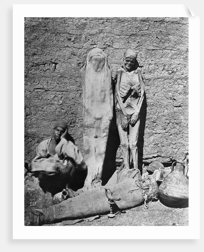 Mummies at Excavation Site by Anonymous