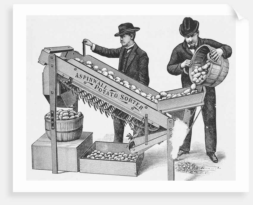 Two Men Using a Potato Sorting Machine by Anonymous