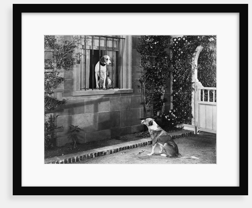 A Dog Conversation by Anonymous