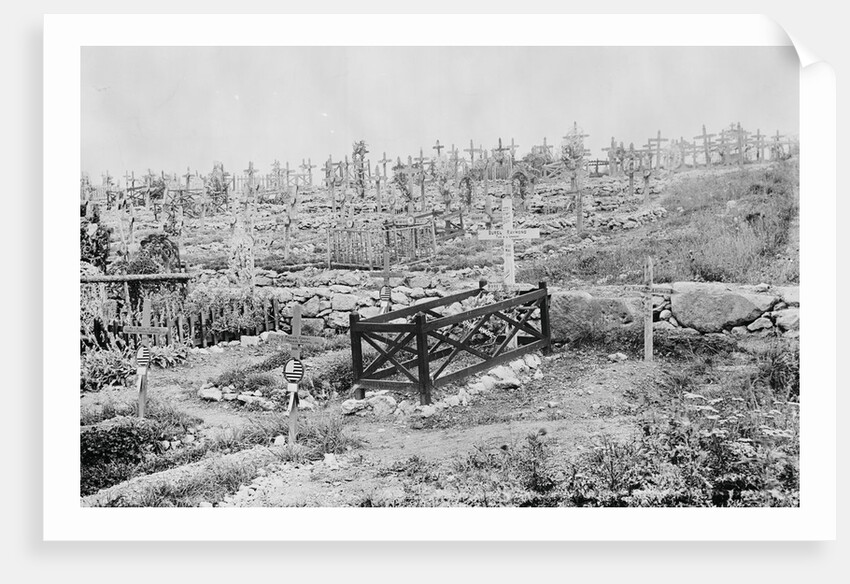 Military Cemetery by Anonymous