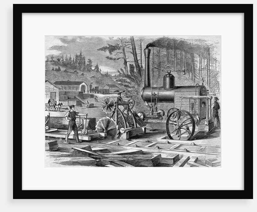 Worker Using Steam Circular Sawmills by Anonymous