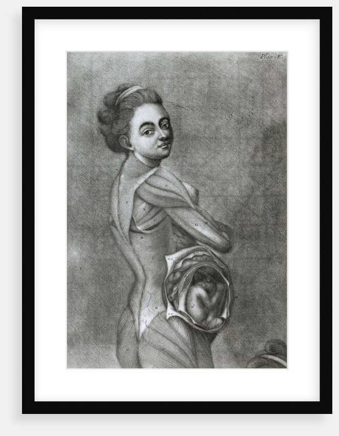 Illustration of Pregnant Woman by Anonymous
