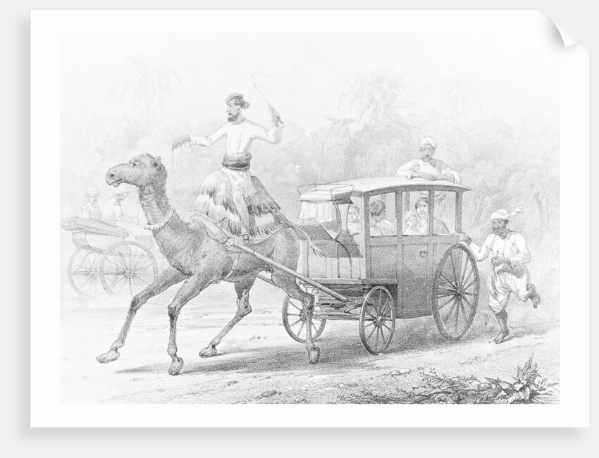 People Riding in Camel Drawn Coach by Anonymous