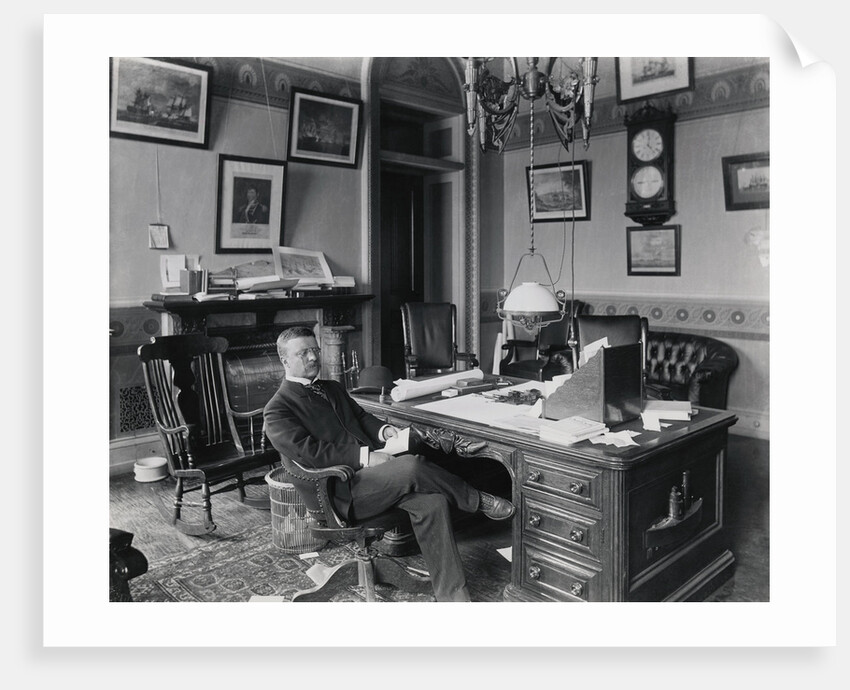Theodore Roosevelt in Office by Anonymous
