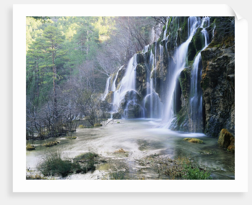 Cascade at the Source of the Rio Cuervo by Anonymous