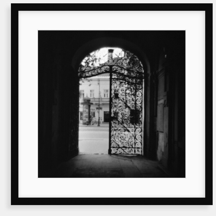 Plant Motif on an Iron Gate by Anonymous