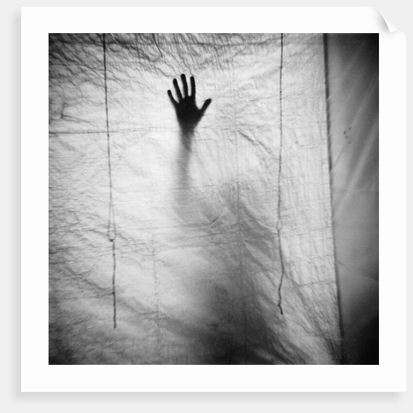 Shadow of a Hand Against Cloth by Anonymous