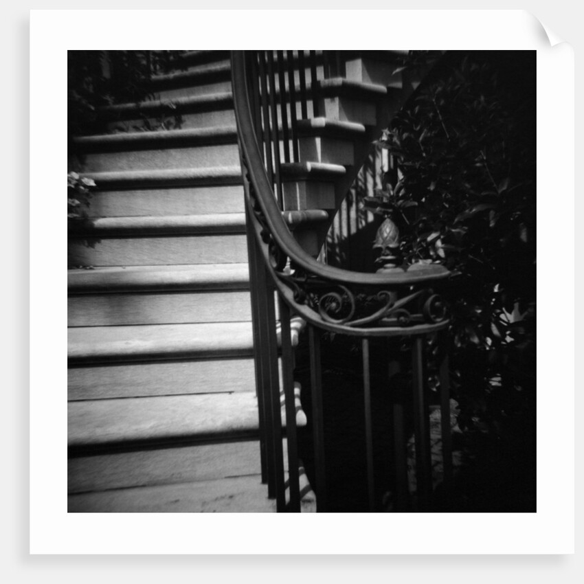 Floral Motif Railing Along a Stairway by Anonymous
