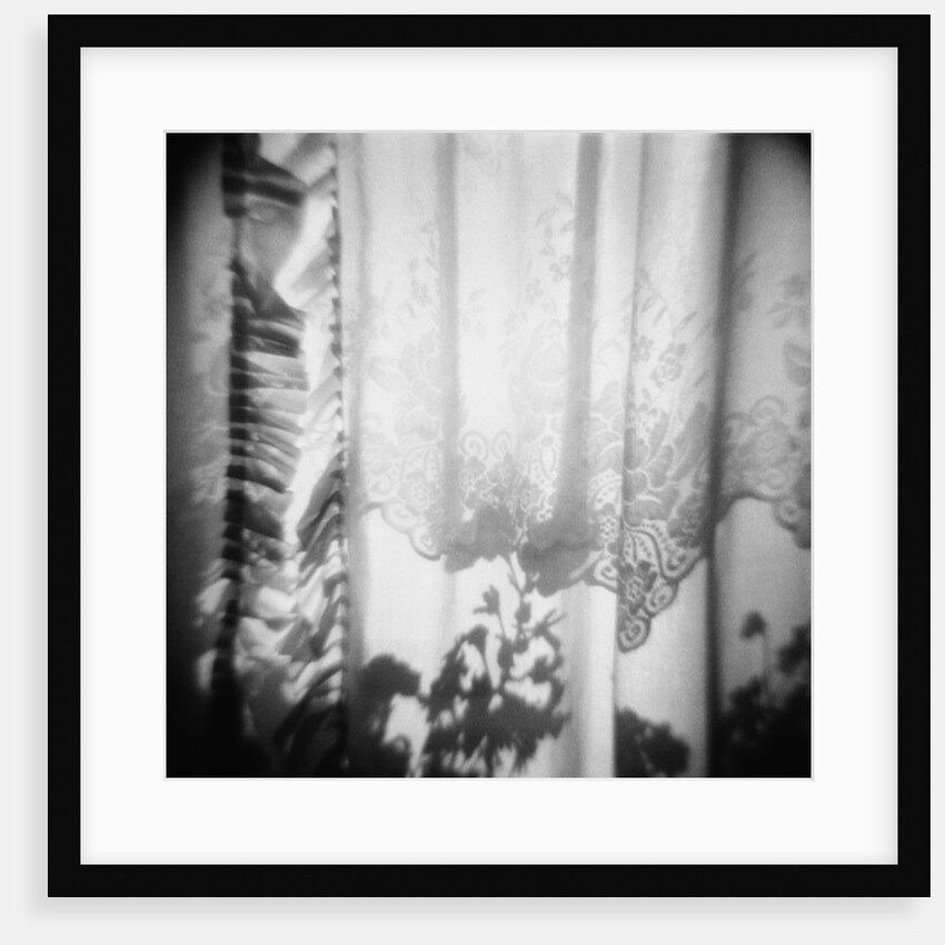 Curtain with Flower Shadow Annette Fournet by Anonymous