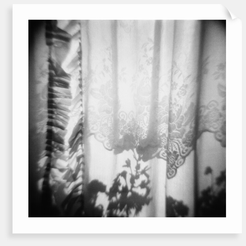 Curtain with Flower Shadow Annette Fournet by Anonymous