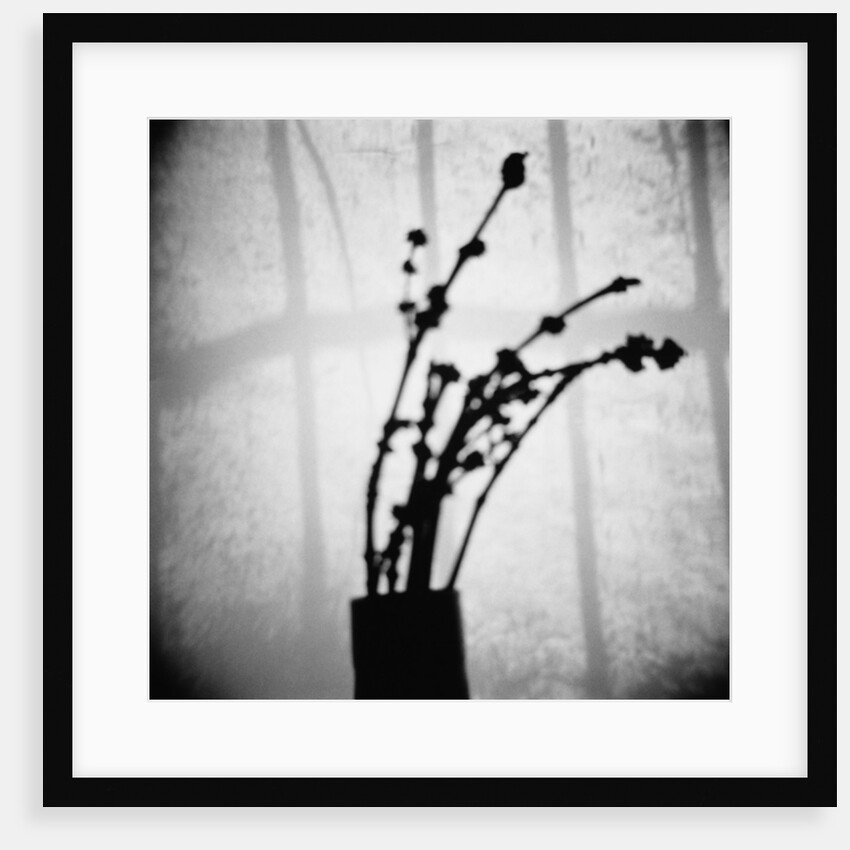 Japanese Shadow by Annette Fournet