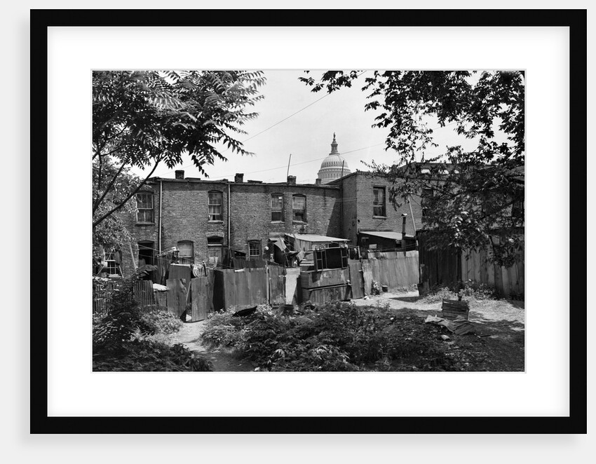 Alley in Washington Slum by Anonymous