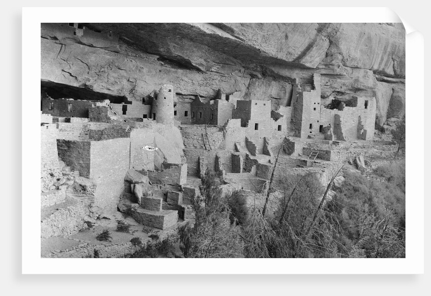 Cliff Palace at Mesa Verde by Anonymous