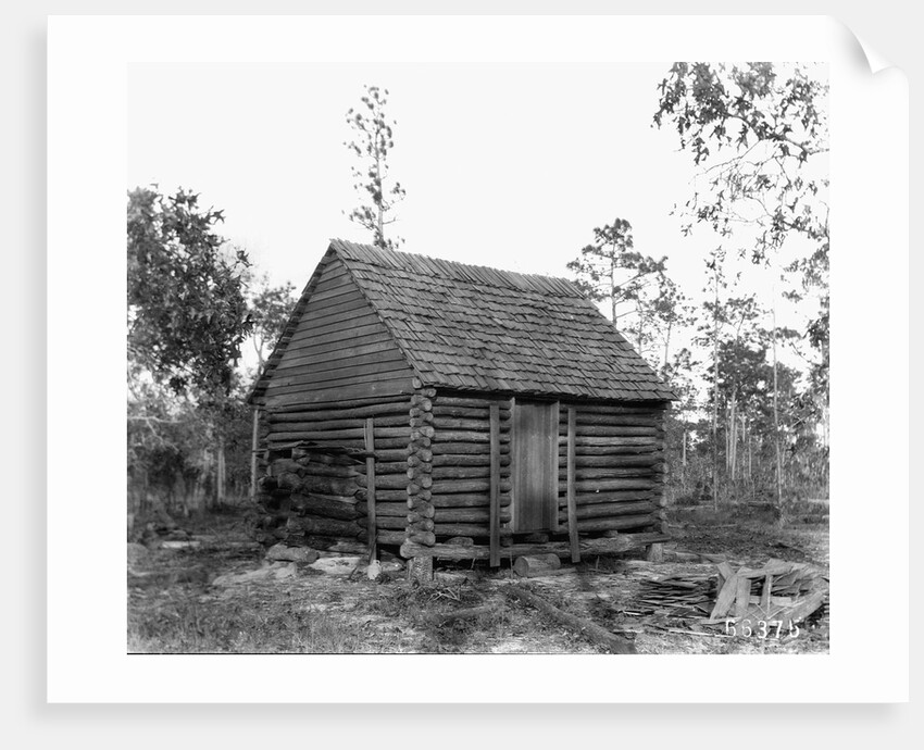 Log Home by Anonymous