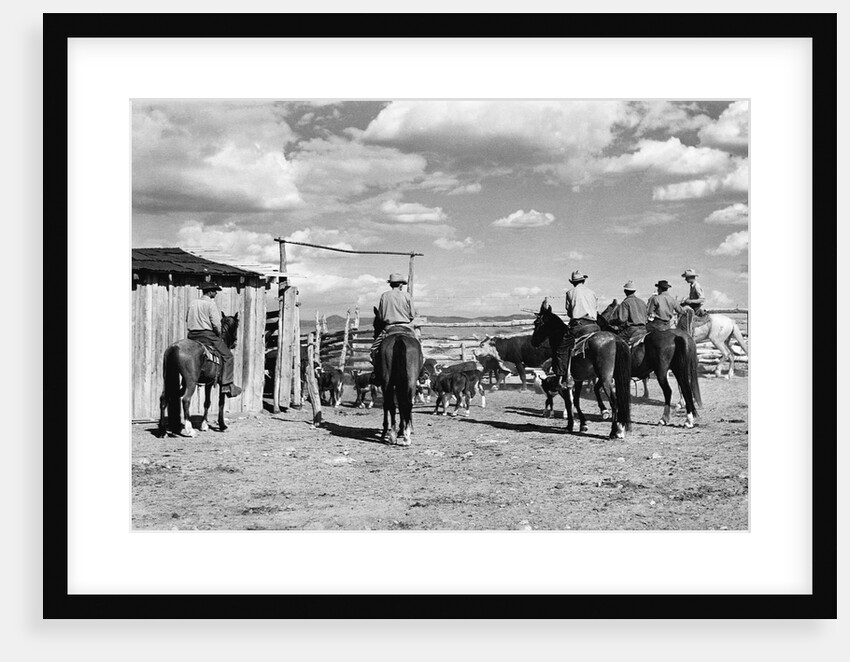 Moving Cattle Into Corral by Anonymous