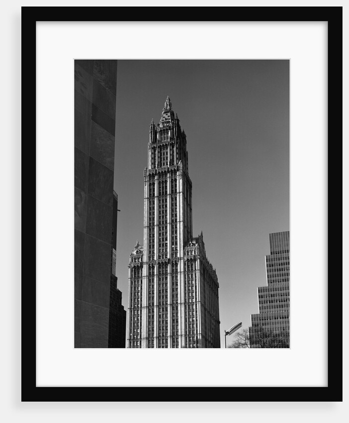 Woolworth Building by Anonymous