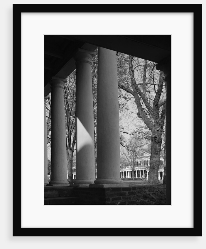Colonnade on the Grounds of Academical Village at the University of Virginia by Anonymous